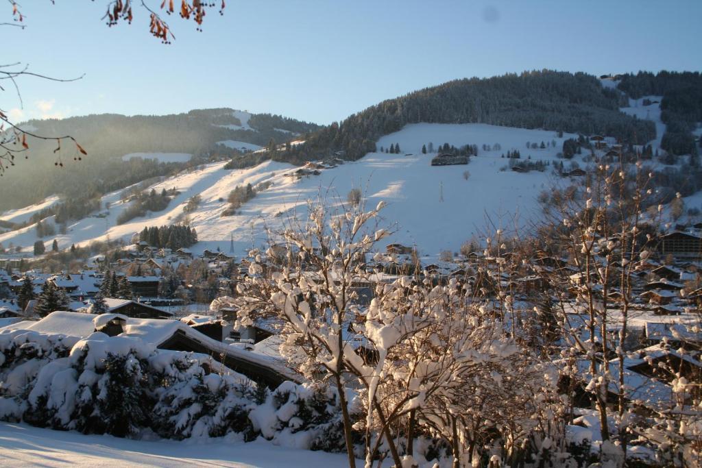 Chalet In Megeve Bed & Breakfast Exterior photo
